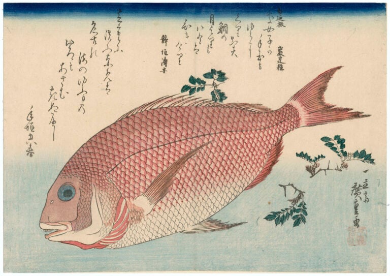 Utagawa Hiroshige Pagro e pepe nero giapponese Serie: Grandi pesci 1832-33 circa 265 x 370 mm silografia policroma Museum of Fine Arts, Boston - William Sturgis Bigelow Collection