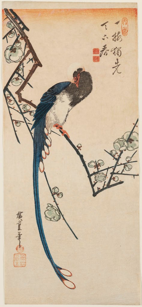 Utagawa Hiroshige Uccello del paradiso e susino in fiore 1830-35 circa 383 x 172 mm silografia policroma Museum of Fine Arts, Boston - William Sturgis Bigelow Collection