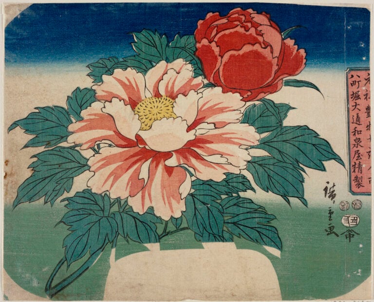 Utagawa Hiroshige Peonie 1853, secondo mese 219 x 270 mm silografia policroma Museum of Fine Arts, Boston - Asiatic Curator's Fund