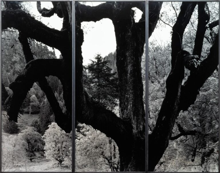 Balthasar Burkhard, Klöntal, 2002. Fotomuseum Winterthur