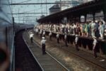 Bill Eppridge, Treno del funerale di Robert Kennedy, Trenton, NJ, 1968 © Bill Eppridge. Courtesy Monroe Gallery of Photography