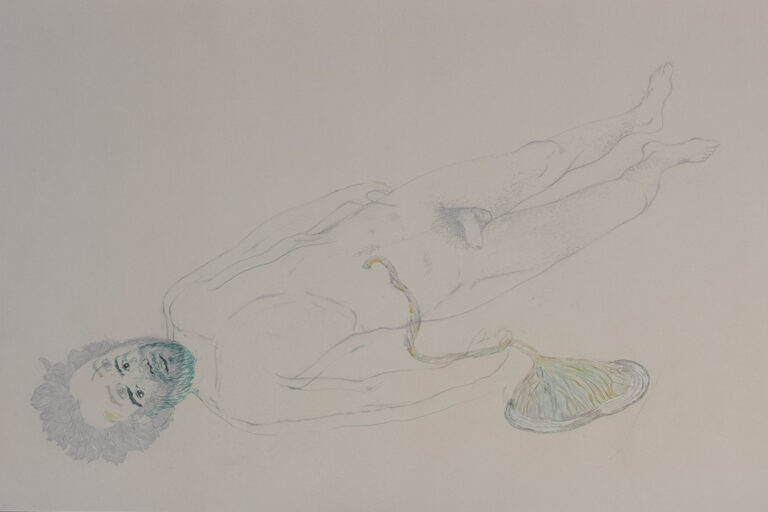Erjon Nazeraj, Placenta, tecnica mista su carta, 95 x 56 cm, 2016