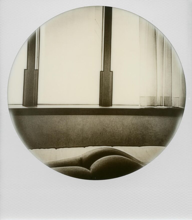 Gianpiero Fanuli. Gentlemen Take Polaroids. Courtesy Riccardo Costantini Contemporary, Torino