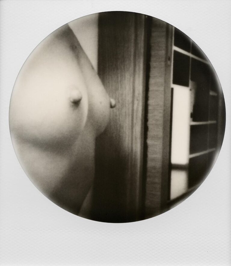 Gianpiero Fanuli. Gentlemen Take Polaroids. Courtesy Riccardo Costantini Contemporary, Torino