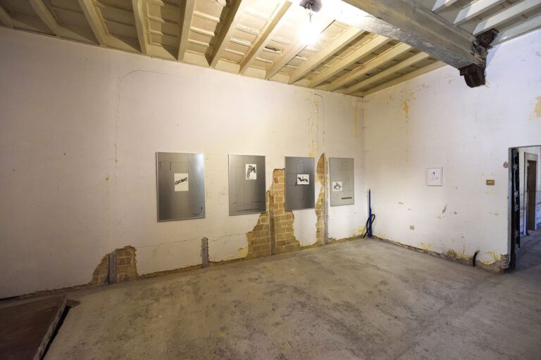 Michela de Mattei, exhibition view, Straperetana 2018, photo Gino Di Paolo