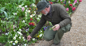 Gilbert Vahé, il giardiniere della casa di Monet a Giverny