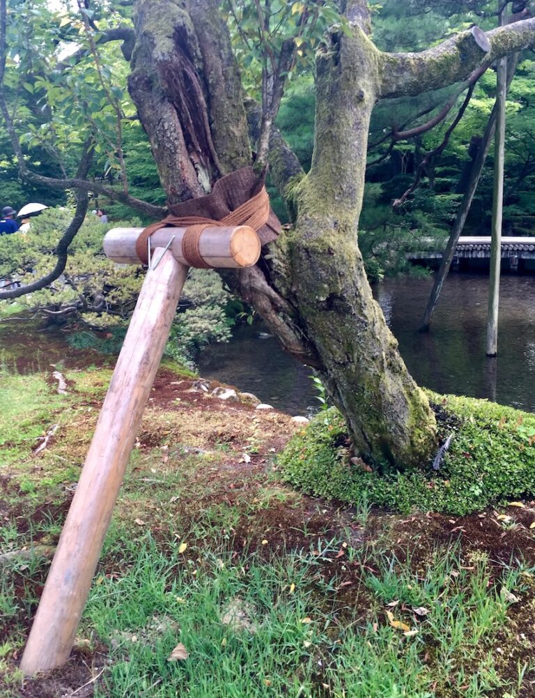 Kenroku-en di Kanazawa. Ph. Aldo Premoli