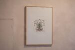 Laura Cionci. Il Giardino segreto. Palazzo dei Priori, Volterra 2018. Inchiostro e acquerello su carta
