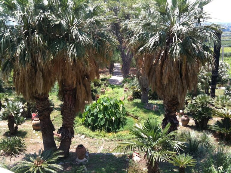 Palermo botanica. Giardino Tenuta dello Zucco. Photo Claudia Zanfi