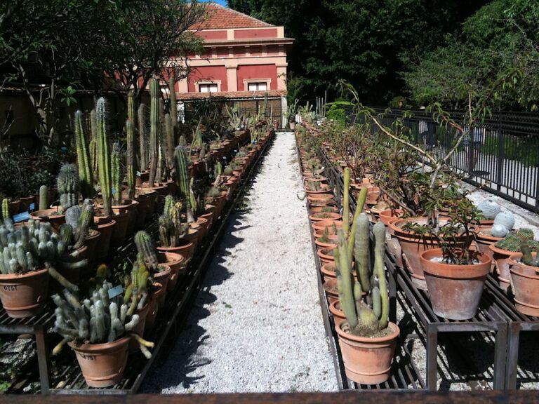 Palermo botanica. Orto Botanico. Photo Claudia Zanfi