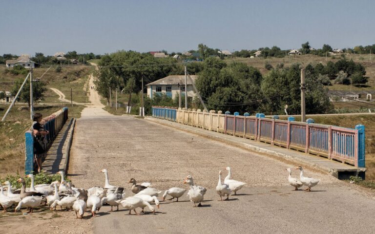 volna mare, Il futuro dopo Lenin. Campagna moldava