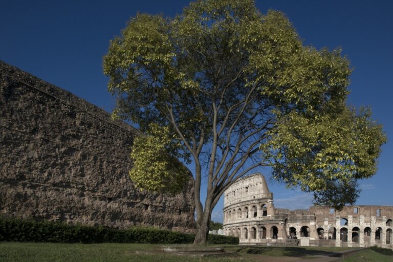 1 P.Ar .Co Colosseo dal Tempio di Venere e Roma©ELECTA Luigi Spina 1200x801 Parco Archeologico del Colosseo a Roma: 7 milioni di euro per la sicurezza al centro del programma