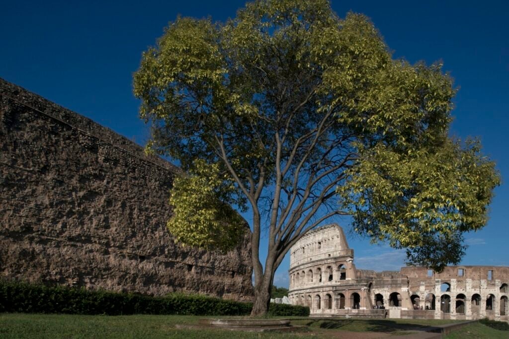 Parco Archeologico del Colosseo a Roma: 7 milioni di euro per la sicurezza al centro del programma