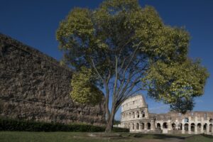 Parco Archeologico del Colosseo a Roma: 7 milioni di euro per la sicurezza al centro del programma