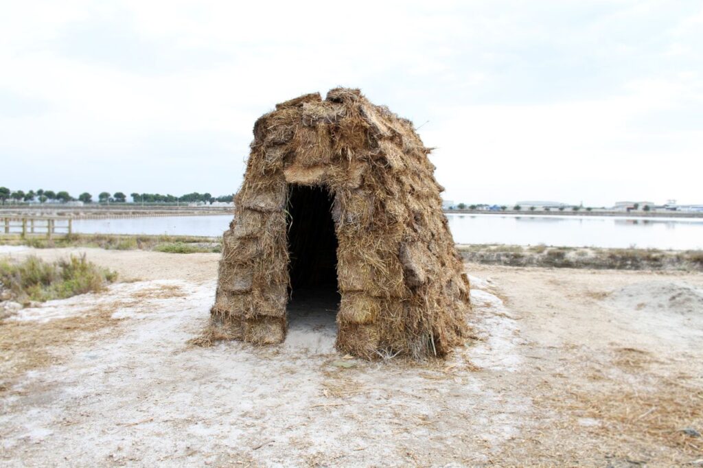 Apulia Land Art Festival. Intervista a Carlo Palmisano