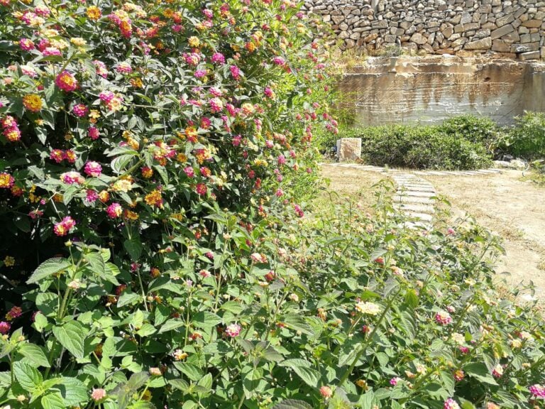 Il Giardino dell’Impossibile, Favignana, 2018