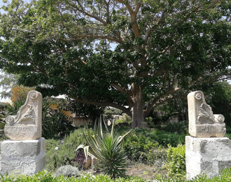 Il Giardino dell’Impossibile, Favignana, 2018