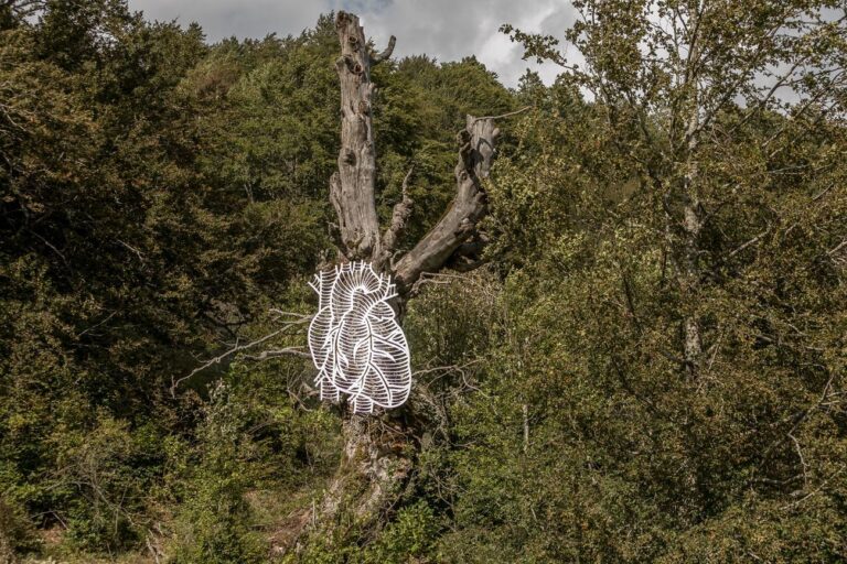 Marcantonio, Animale Vegetale (Il Cuore), 2018. Parco Nazionale di Abruzzo, Lazio e Molise, Pescasseroli