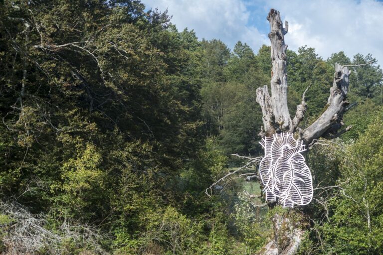 Marcantonio, Animale Vegetale (Il Cuore), 2018. Parco Nazionale di Abruzzo, Lazio e Molise, Pescasseroli