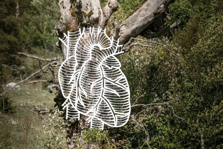 Marcantonio, Animale Vegetale (Il Cuore), 2018. Parco Nazionale di Abruzzo, Lazio e Molise, Pescasseroli