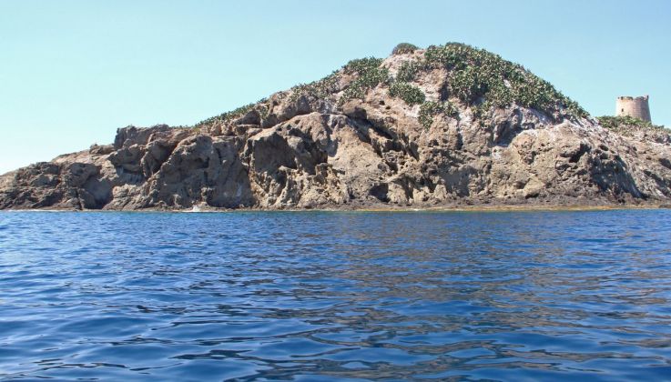 Montecristo Project Island