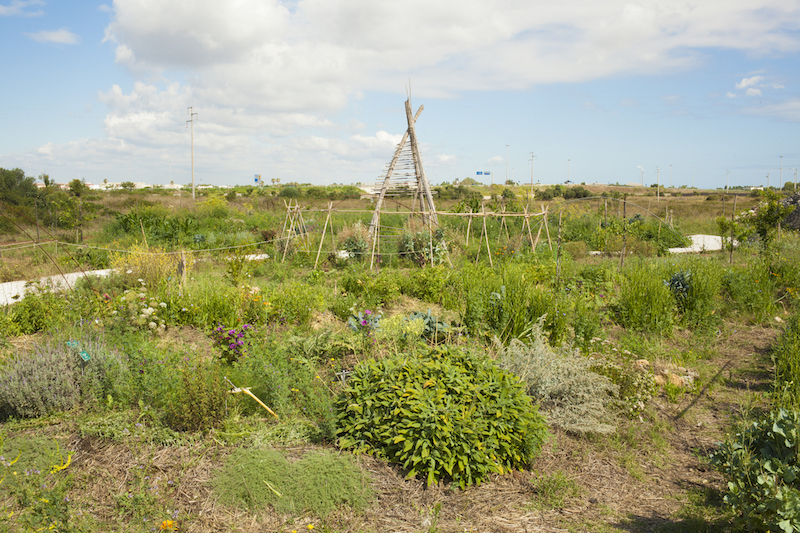 A Lecce inaugura BotaniCall con la performance Sinfonie Vegetali