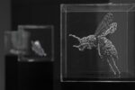 Ryoichi Kurokawa, renature..insecta #2 [ prototype ], 2015. © l’artista. Courtesy Espacio Fundación Telefónica Lima