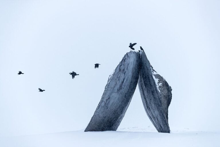 Tippet Rise Art Center, Fishtail, Montana. Photo Iwan Baan