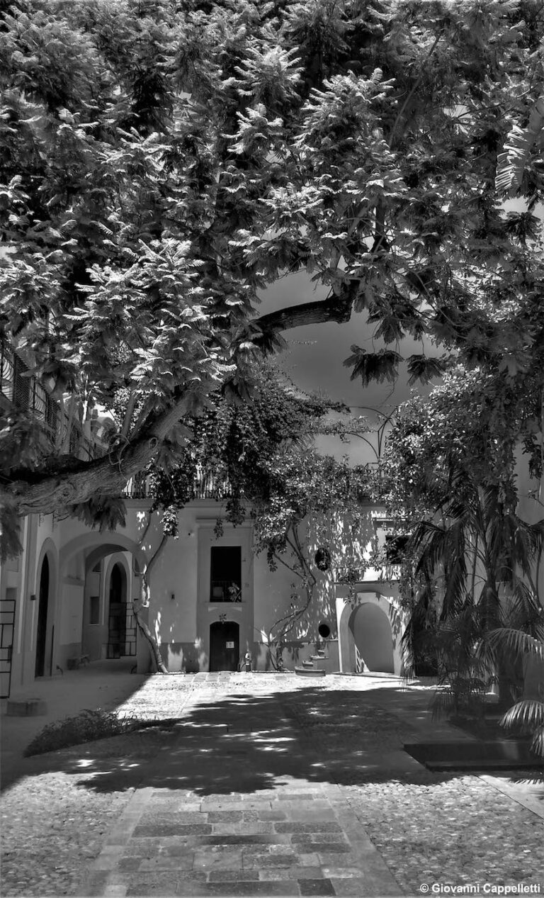 Palazzo Butera, Palermo. Ph. Giovanni Cappelletti