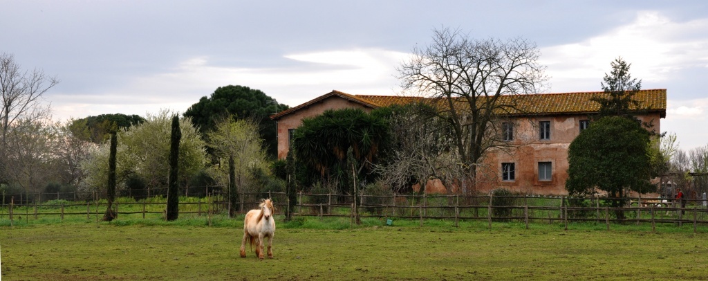 Casale delle Vignacce