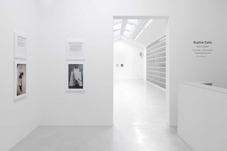 Sophie Calle, View of the exhibition “Souris Calle” at Perrotin Paris 13 octobre – 22 décembre 2018