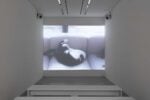 Sophie Calle, View of the exhibition “Souris Calle” at Perrotin Paris 13 octobre – 22 décembre 2018