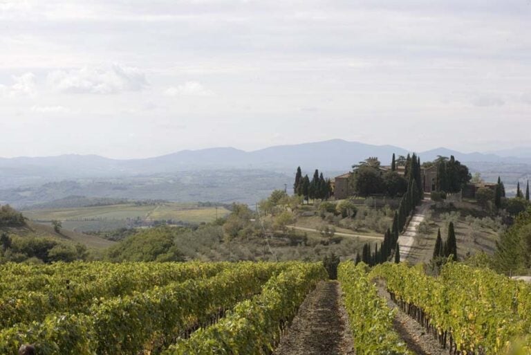 ArtistiperFrescobaldi TenutaCastelgiocondo2 Premio Artisti per Frescobaldi 2018, tra vino e mecenatismo vince la svizzera Sonia Kacem