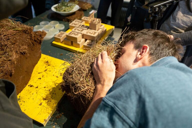 Biennale di Venezia di Architettura, 2018. Padiglione Lituania. The Swamp Pavilion. On Commonism. Norbert Tukaj