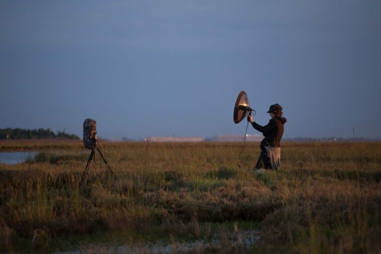 Biennale di Venezia di Architettura, 2018. Padiglione Lituania. The Swamp Radio. Norbert Tukaj