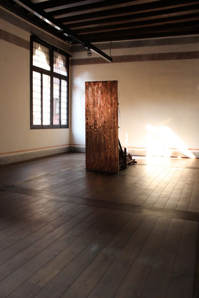 Fabio Roncato, The electric being, 2015. Installation view at TRA – TrevisoRicercaArte, Treviso 2015