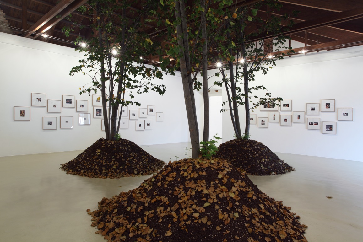 Goldschmied & Chiari, Goldiechiari, Genealogy of Damnatio Memoriae Turin 1965 1982, 2012, three carved trees 800 cm, courtesy of Castello di Rivoli Museum