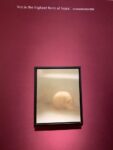 IMG 1325 Le aste di Christie’s e Sotheby’s a Londra nella settimana di Frieze. E c’è un “giallo” su Banksy