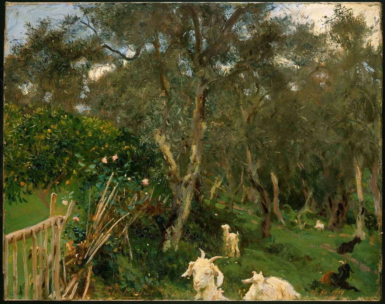 John Singer Sargent, Olives in Corfu, 1909 ca. © The Fitzwilliam Museum, Cambridge
