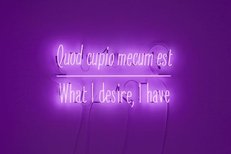 Joseph Kosuth, Maxima Proposito (Ovidio), 2017