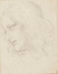 Leonardo da Vinci 1452 1519 Study for the Head of St Philip c. 1494 Royal Collection Trust © Her Majesty Queen Elizabeth II 945x1200 500 anni dalla morte di Leonardo. Nei Paesi Bassi una grande mostra in onore del genio italiano