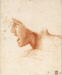 Leonardo da Vinci 1452 1519 Study of the Head of a Young Warrior in Profile to the Left c. 1504 05 Szépművészeti Múzeum Budapest 982x1200 500 anni dalla morte di Leonardo. Nei Paesi Bassi una grande mostra in onore del genio italiano