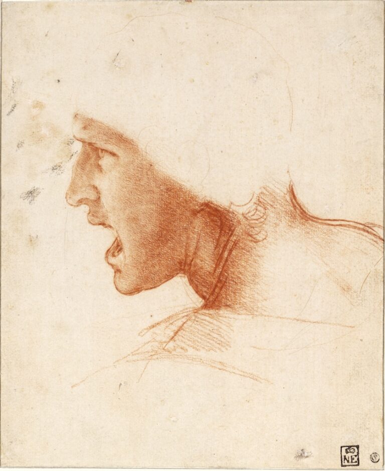 Leonardo da Vinci 1452 1519 Study of the Head of a Young Warrior in Profile to the Left c. 1504 05 Szépművészeti Múzeum Budapest 982x1200 500 anni dalla morte di Leonardo. Nei Paesi Bassi una grande mostra in onore del genio italiano