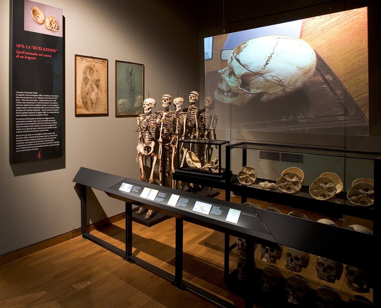 Museo di Antropologia Criminale Cesare Lombroso di Torino