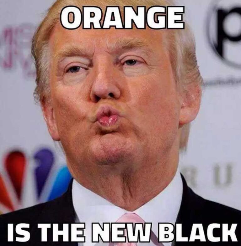 Un meme con protagonista Donald Trump