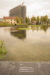 Biblioteca degli alberi a Milano, ph. Lucilla Loiotile