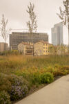 Biblioteca degli alberi a Milano, ph. Lucilla Loiotile