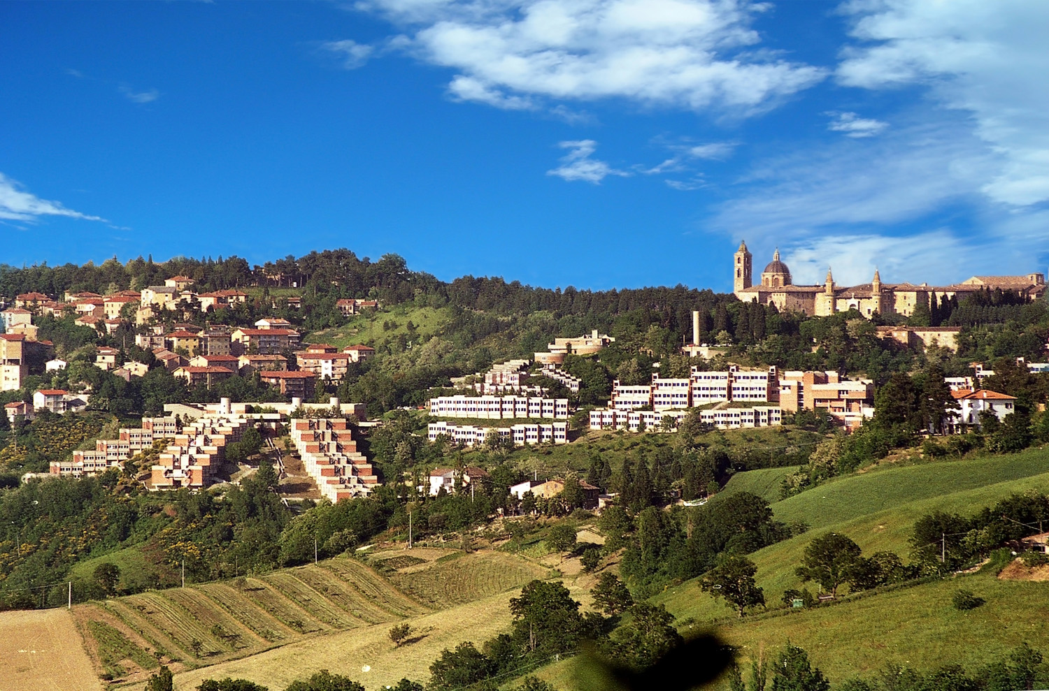 View with Urbino in the background. Copyright: All images are owned by Università degli Studi di Urbino Carlo Bo – Photographer: Paolo Bianchi