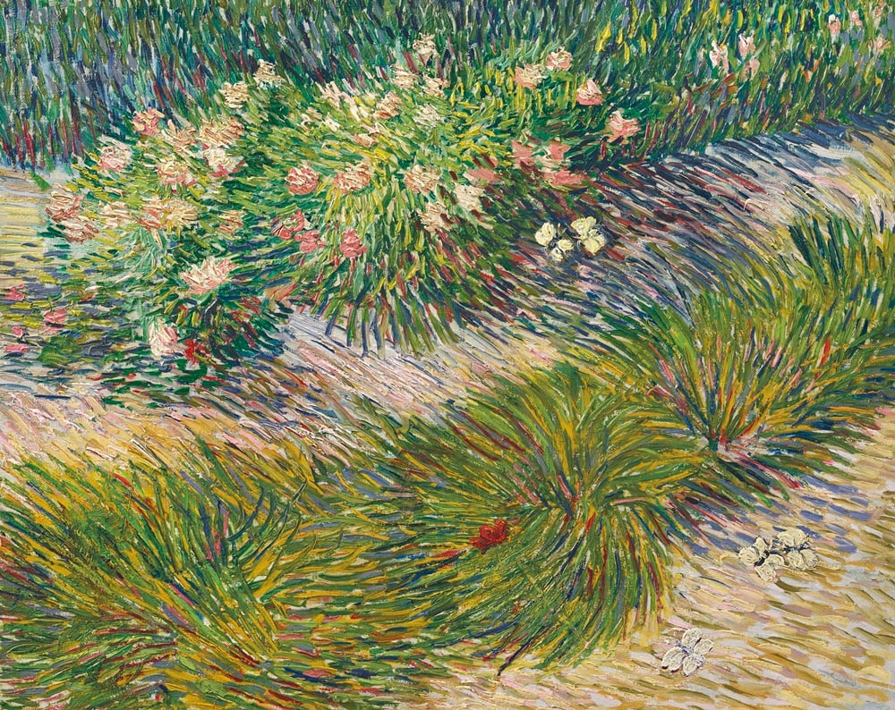 Vincent van Gogh Coin de Jardin avec Papillons