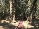 Abu Dhabi Art 2018 Beyond Imran Qureshi, This time, where the twin streams of time begin to merge, 2018. Courtesy Galerie Thaddaeus Ropac. Photo Marco Enrico Giacomelli